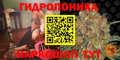 гашик Пенза